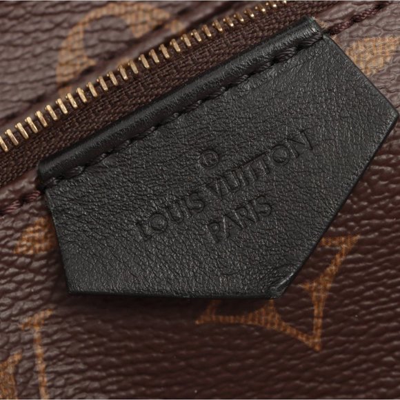 Louis Vuitton Palm Springs MM Monogram Backpack - Picture 13 of 16